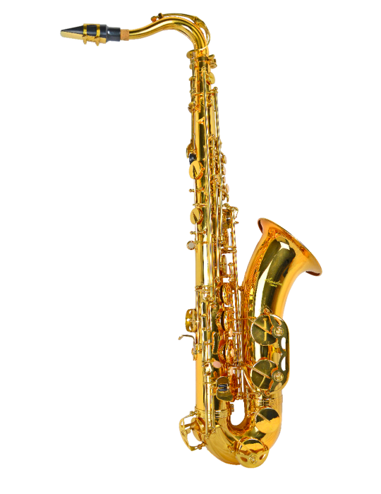 SAXO TENOR AMADEUS EN Sib