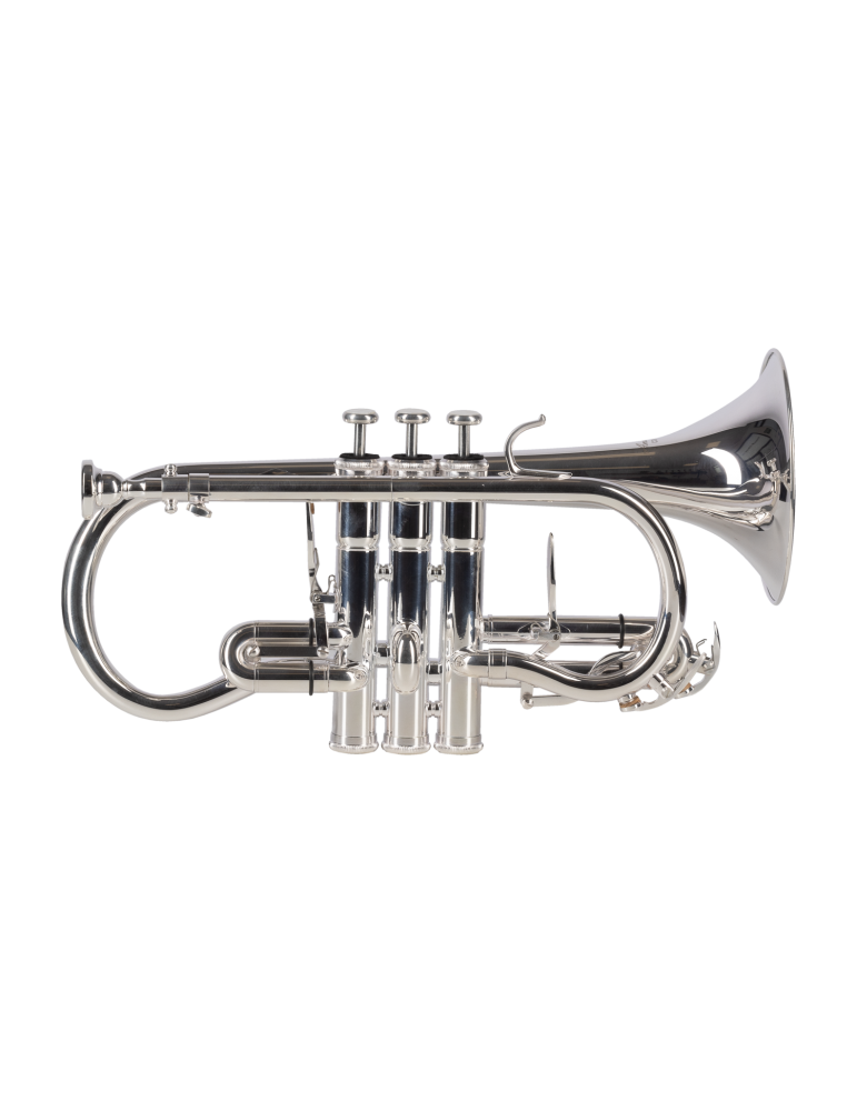 CORNETA AMADEUS PLATEADA Mib