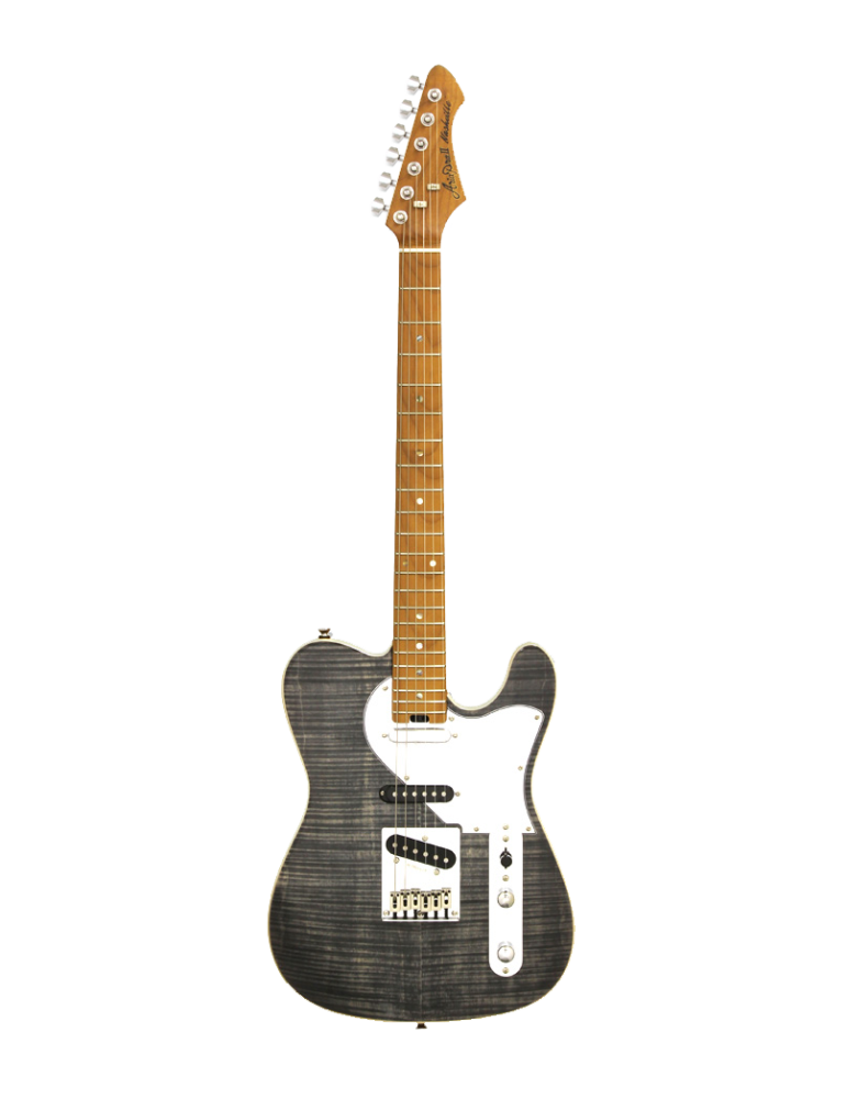 GUITARRA ELÉCTRICA ARIA TC 615-MK2-NASHVILLE NEGRO DIAMANTE TRANSLÚCIDO
