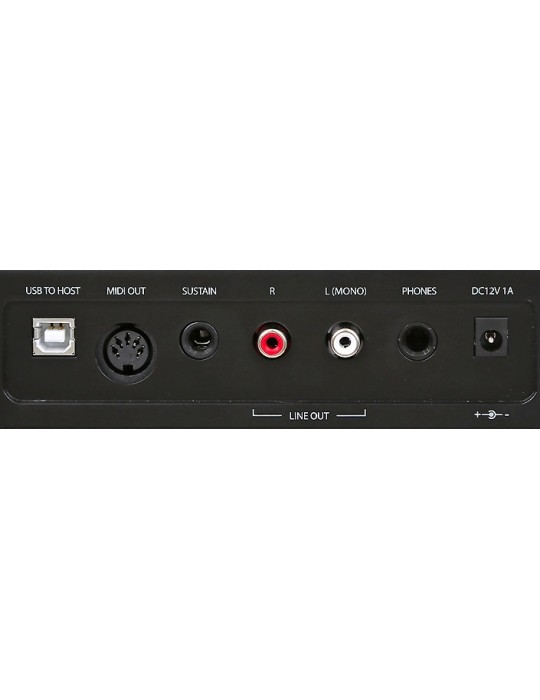 PIANO DE ESCENARIO ARTESIA PA88H