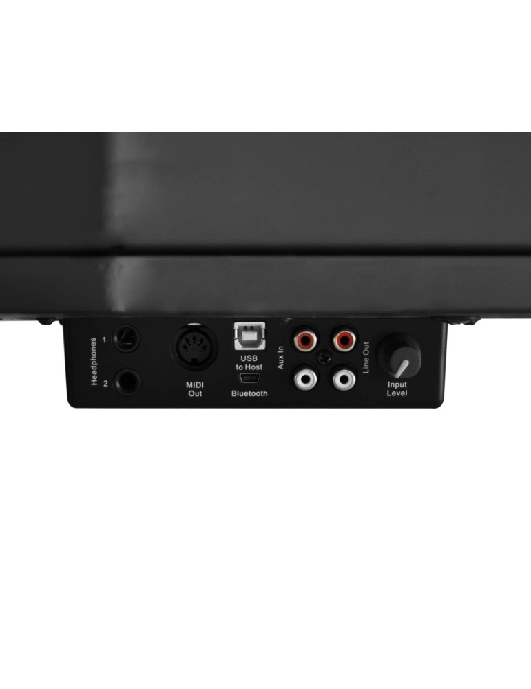 PIANO DE COLA DIGITAL ARTESIA AG50