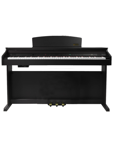 PIANO DIGITAL ARTESIA DP10-E