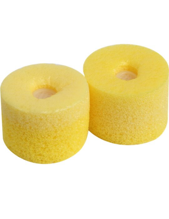 EAYLF1-100