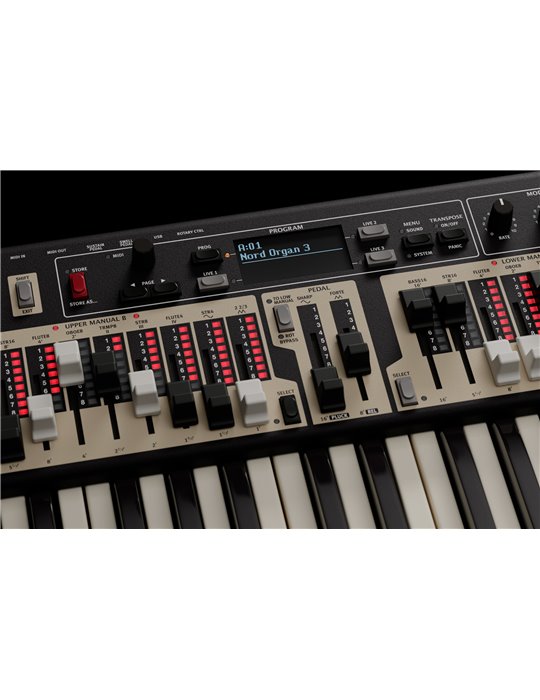 ORGAN 3