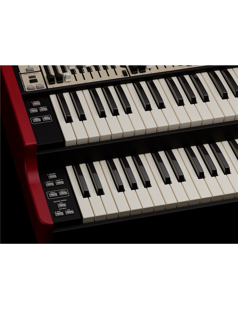 ORGAN 3