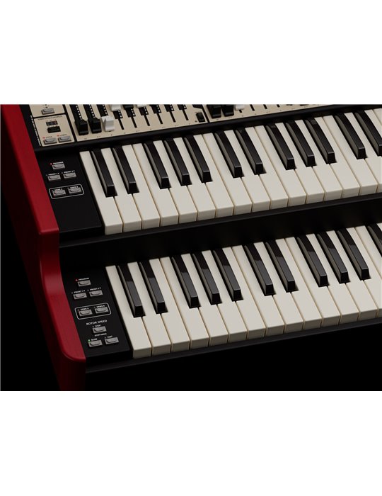 ORGAN 3