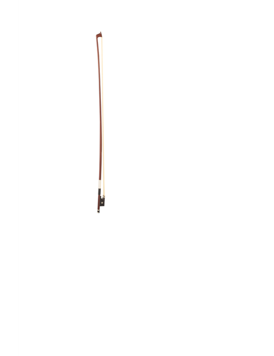 VIOLÍN ELECTRIFICADO CARLO GIORDANO CV201E DE 4/4