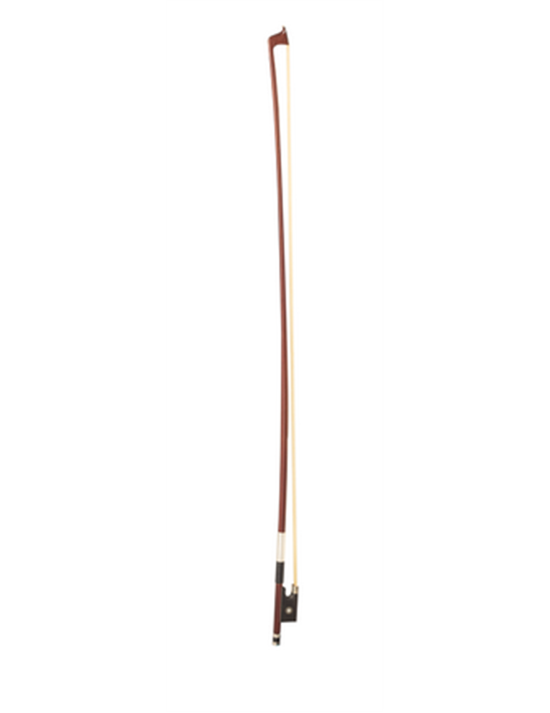 VIOLÍN CARLO GIORDANO VS0 3/4