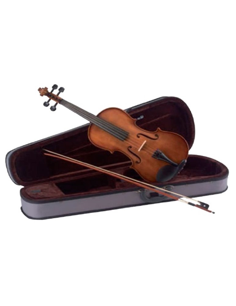 VIOLA CARLO GIORDANO VL1 14