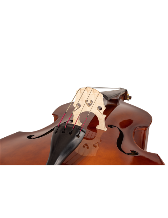 CONTRABAJO CARLO GIORDANO SB150 DE 3/4