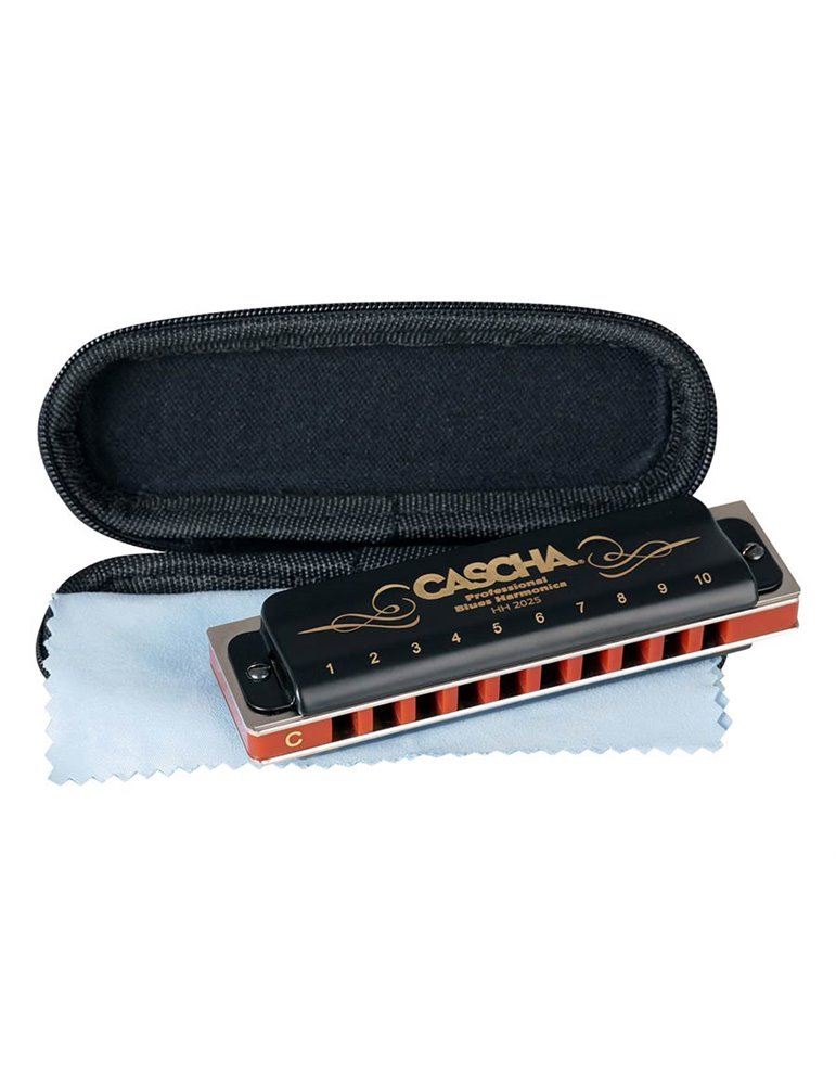 professional blues harmonica in C, incl. case and