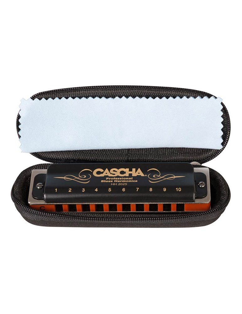 professional blues harmonica in C, incl. case and