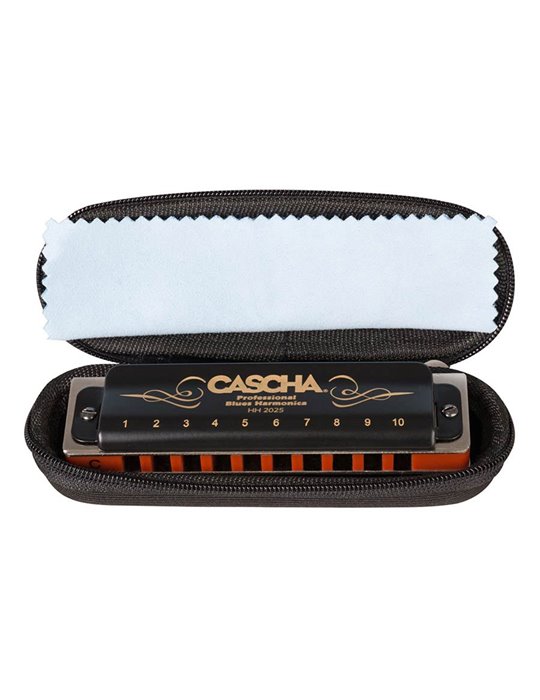 professional blues harmonica in C, incl. case and