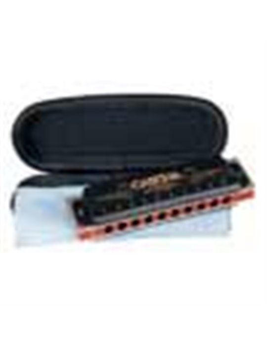 professional blues harmonica in C, incl. case and
