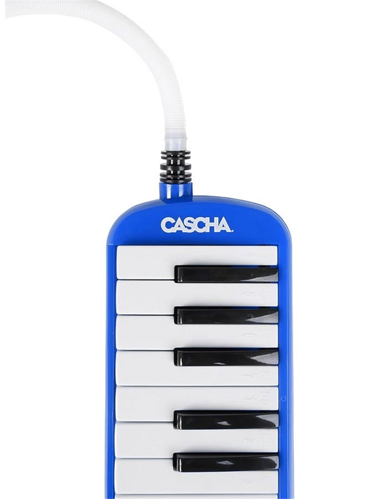 melodica blue, incl. case and mouthpiece