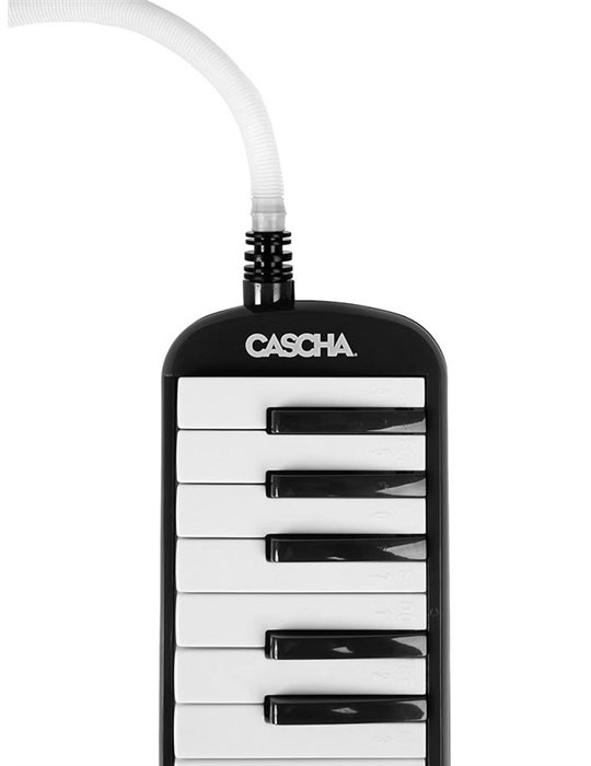 melodica black, incl. case and mouthpiece