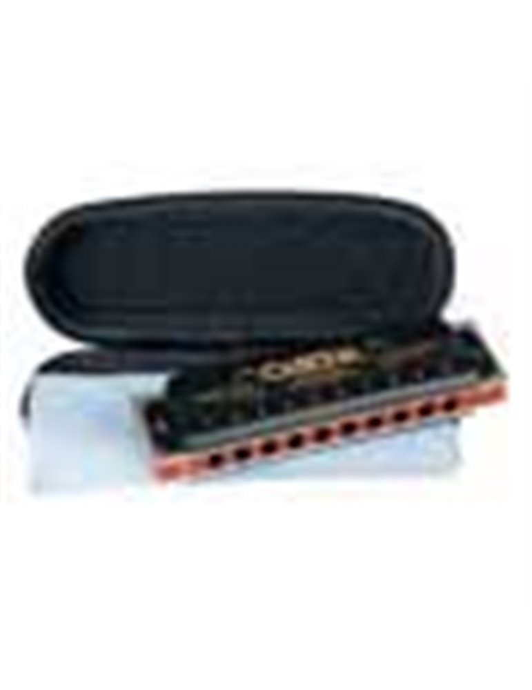 professional blues harmonica in D, incl. case and