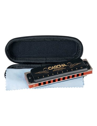 professional blues harmonica in G, incl. case and