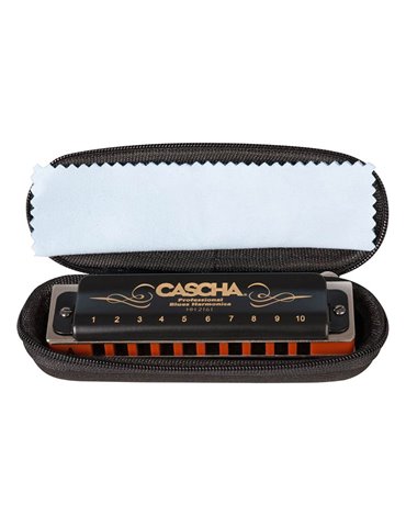 professional blues harmonica in A, incl. case and 2