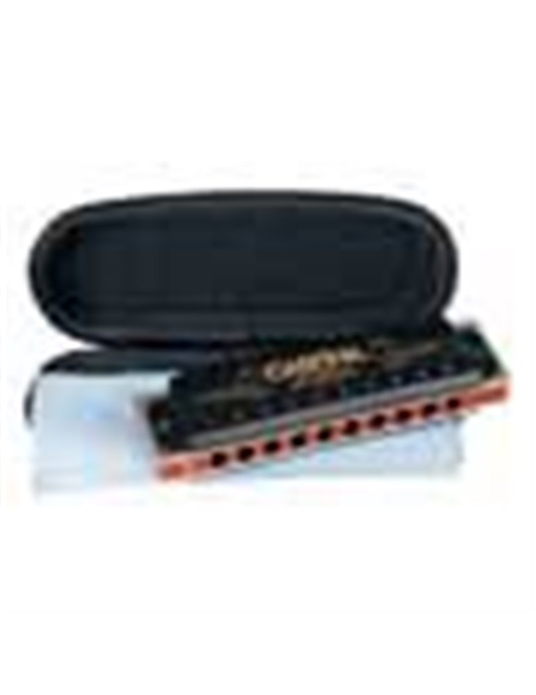 professional blues harmonica in A, incl. case and