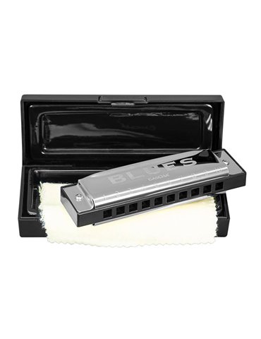 blues harmonica in E, incl. case and cleaning clot