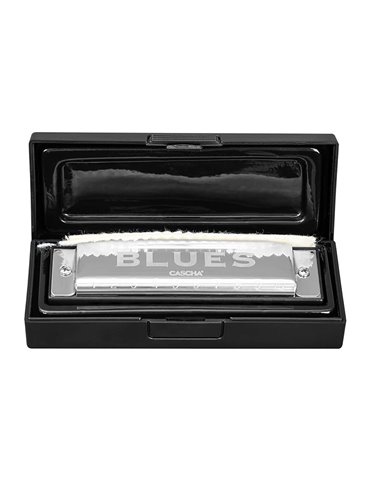 blues harmonica in E, incl. case and cleaning clot 2
