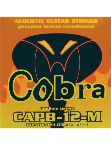 string set acoustic, phosphor bronze wound medium,