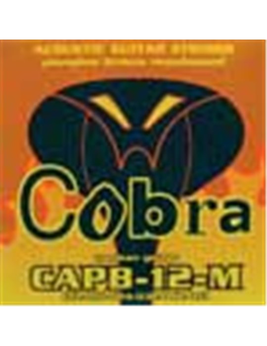 string set acoustic, phosphor bronze wound medium,