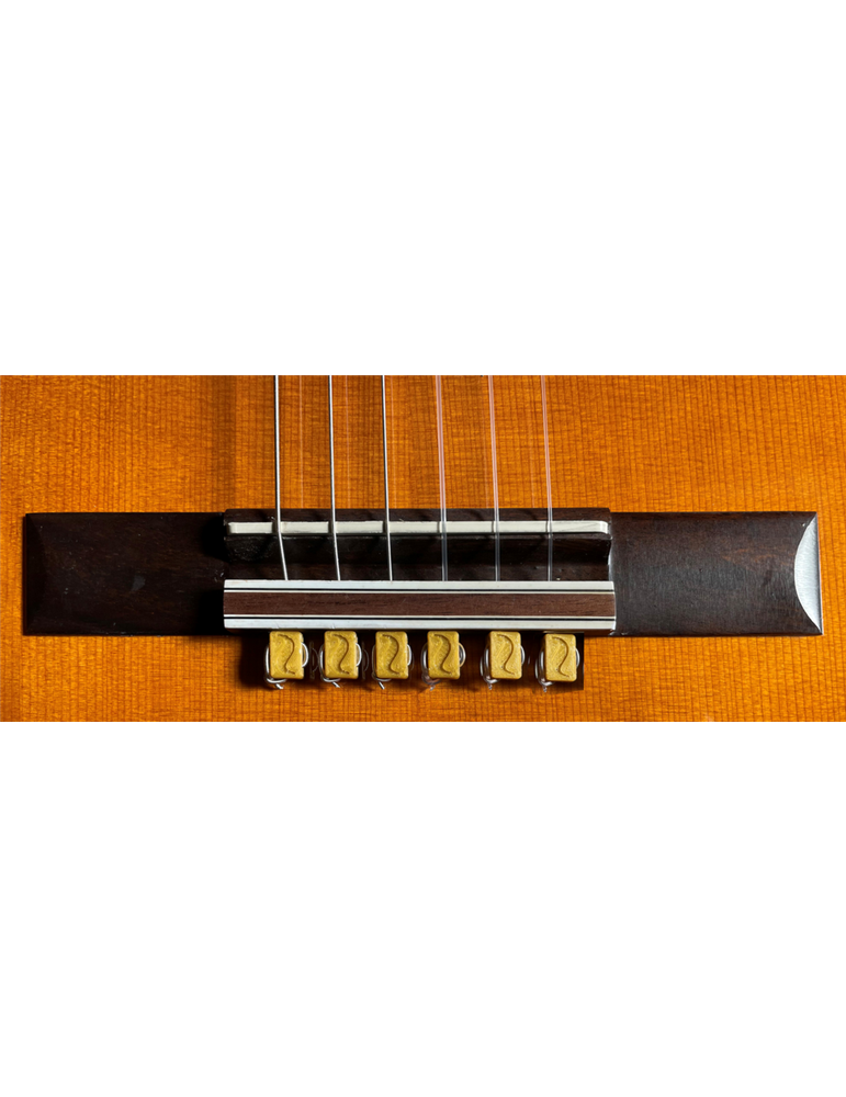 JUEGO DE 6 CORBATAS PARA CUERDAS DASH