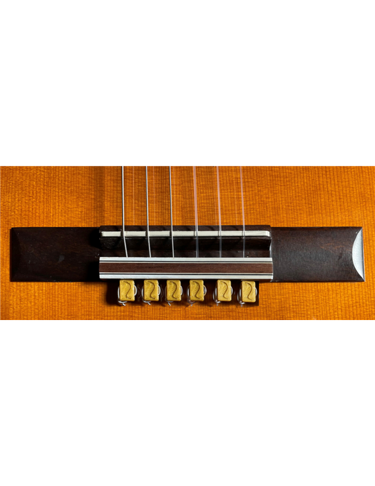 JUEGO DE 6 CORBATAS PARA CUERDAS DASH