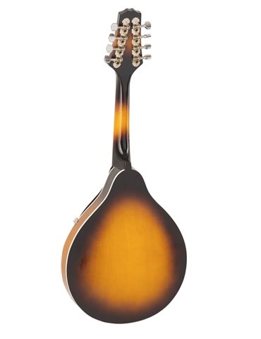 MANDOLINA DAYTONA ML01 2