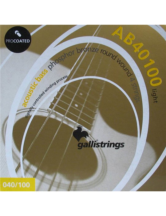 string set acoustic bass, phosphor bronze, light,