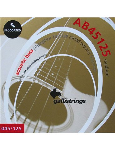 string set acoustic 5-string bass phosphor bronze