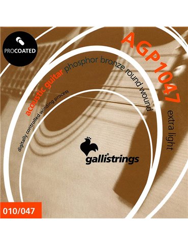 string set acoustic, phosphor bronze wound, extra