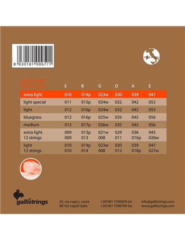 string set acoustic, phosphor bronze wound, extra 2