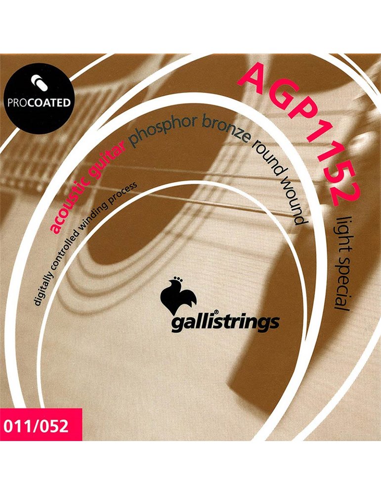string set acoustic, phosphor bronze wound, specia