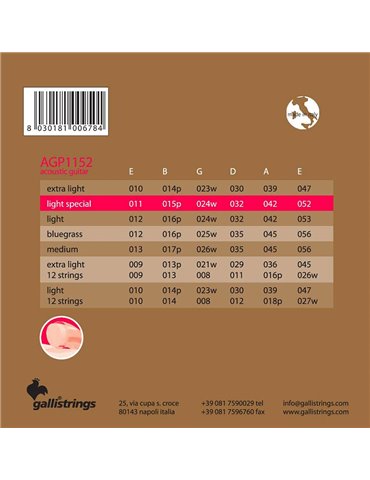 string set acoustic, phosphor bronze wound, specia 2