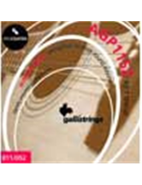 string set acoustic, phosphor bronze wound, specia