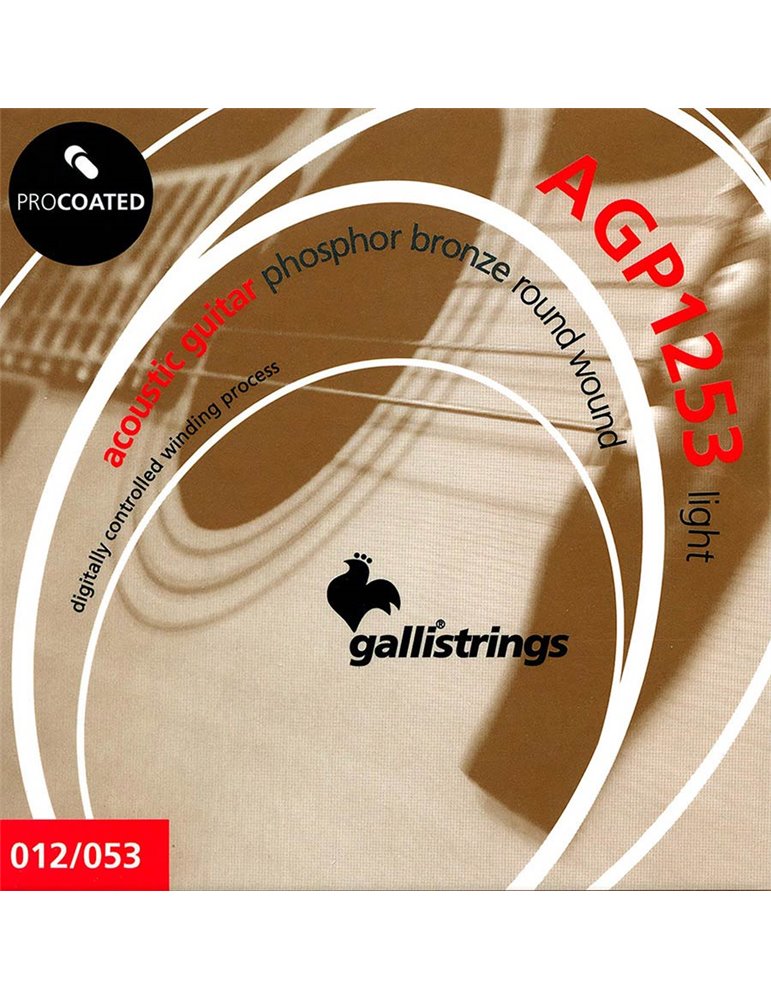 string set acoustic, phosphor bronze wound, light,
