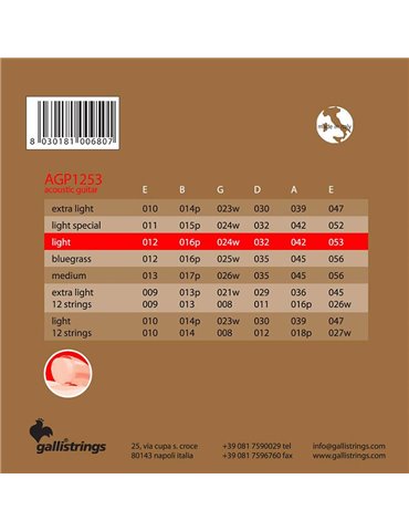 string set acoustic, phosphor bronze wound, light, 2