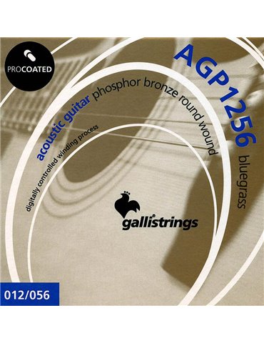 string set acoustic, phosphor bronze wound, bluegr
