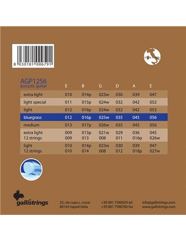 string set acoustic, phosphor bronze wound, bluegr 2