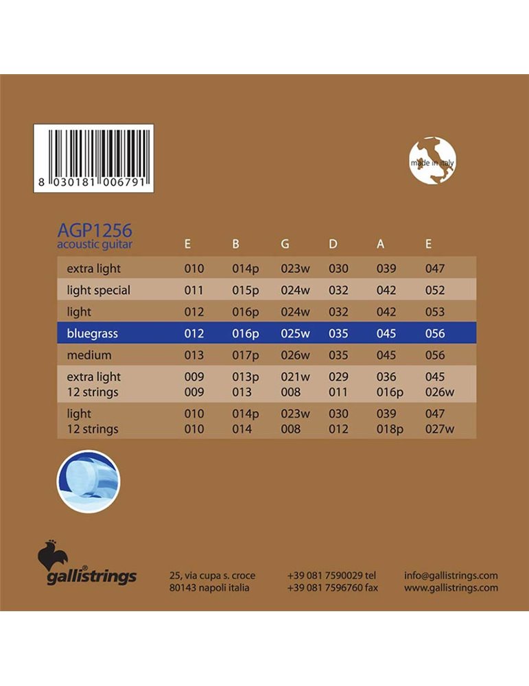 string set acoustic, phosphor bronze wound, bluegr