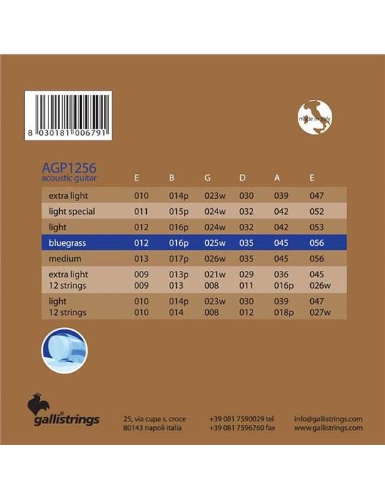 string set acoustic, phosphor bronze wound, bluegr