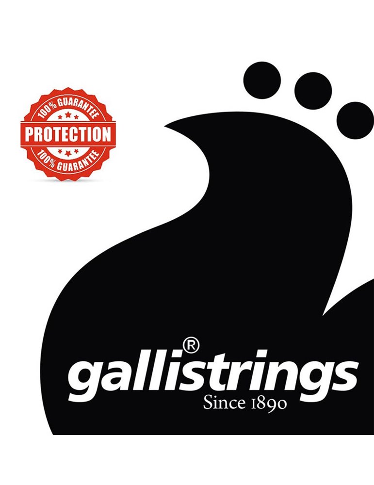 string set acoustic, phosphor bronze wound, bluegr