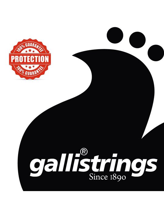 string set acoustic, phosphor bronze wound, bluegr