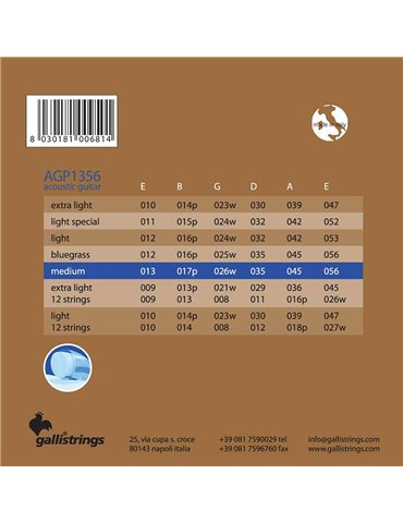 string set acoustic, phosphor bronze wound, medium 2