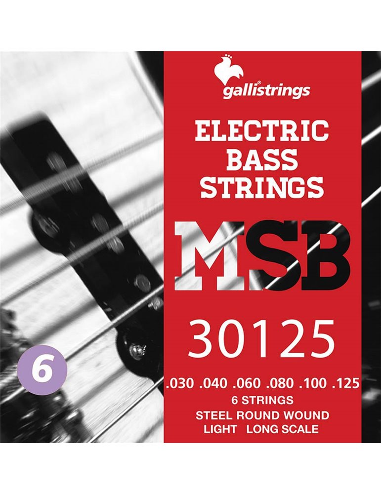 string set electric 6-string bass, steel light, 03
