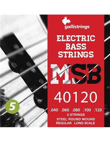 string set electric 5-string bass, steel regular,