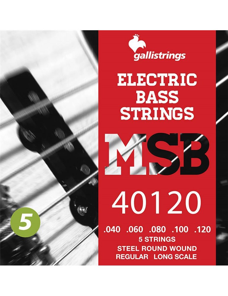 string set electric 5-string bass, steel regular,